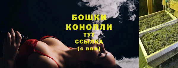 ПСИЛОЦИБИНОВЫЕ ГРИБЫ Вяземский